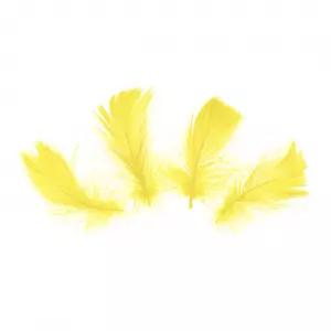 Höyhenet 5-8 cm keltaiset, 50 kpl