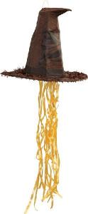 Vetopinjata Harry Potter hattu
