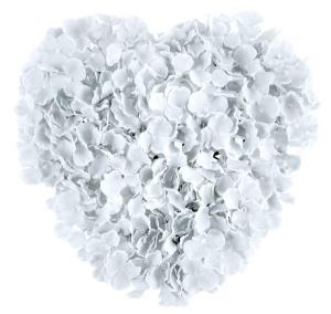 Sydän kukkakoriste valkoinen 41x41 cm