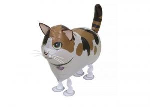 Kissa kävelevä foliopallo