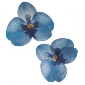 Syötävät vohvelikukat sininen Orkidea 10 kpl