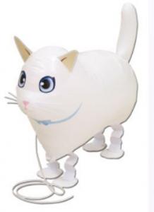 Valkoinen kissa kävelevä foliopallo
