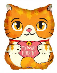 Foliopallo kissa "You are purrrrfect", 46 cm