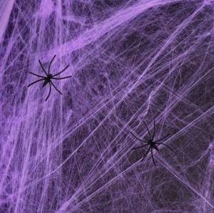 Hämähäkinseitti hämähäkeillä violetti, 60 g