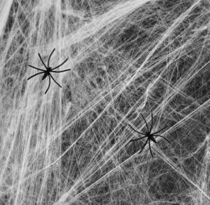 Hämähäkinseitti hämähäkeillä valkoinen, 60 g
