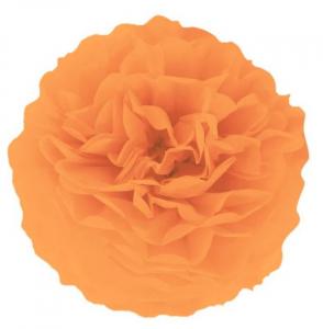 Pom pom silkkipaperikukka 35 cm oranssi, 1 kpl