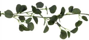 Eukalyptus-köynnös vihreä, 1,4 metriä