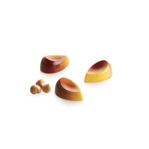 Suklaamuotti Aurora-P - Silikomart Professional