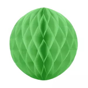 Honeycomb pyöreä vihreä 20 cm, 1 kpl