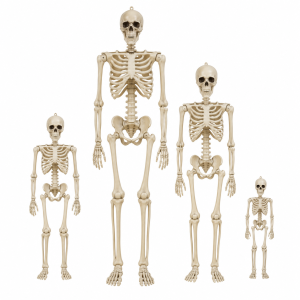 Muovinen luuranko Halloween-koristeeksi – useita kokoja