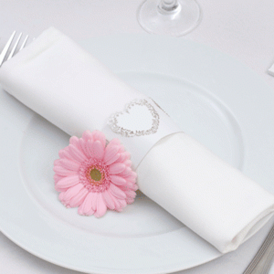 Vintage romance valkoinen servettirengas, 10 kpl