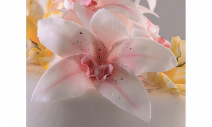 Painettavat muotit, orkidea kymbidi 3 kpl