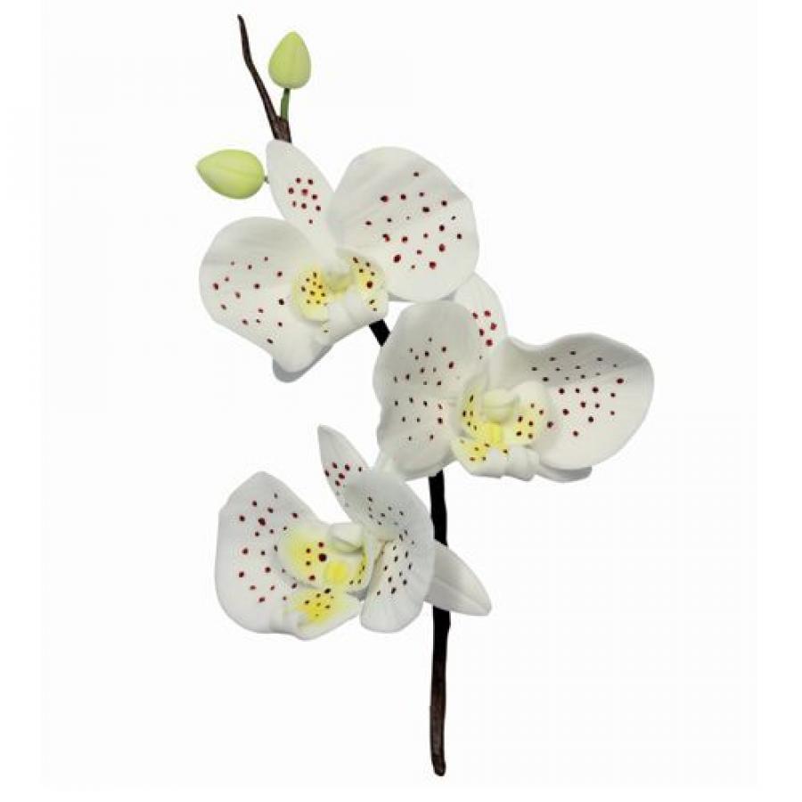 Painettavat muotit, pieni orkidea, 3 kpl - PME