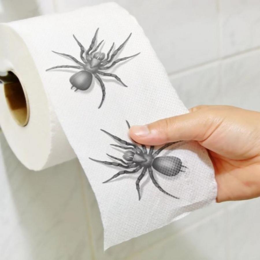 WC-paperi hämähäkki