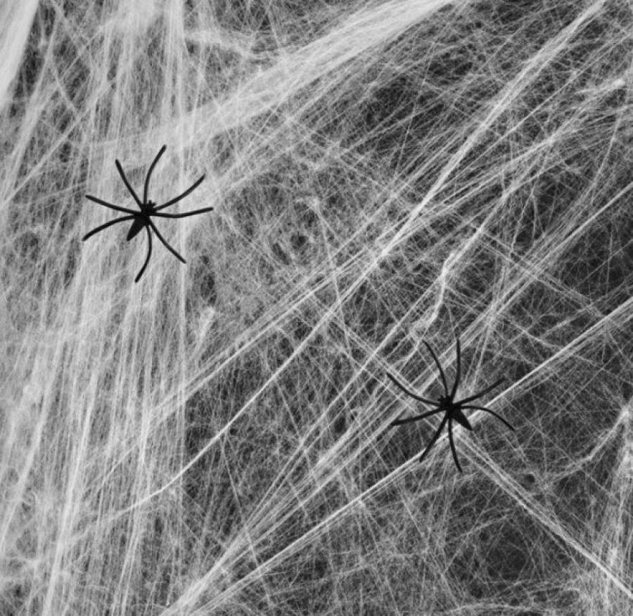 Hämähäkinseitti hämähäkeillä valkoinen, 60 g