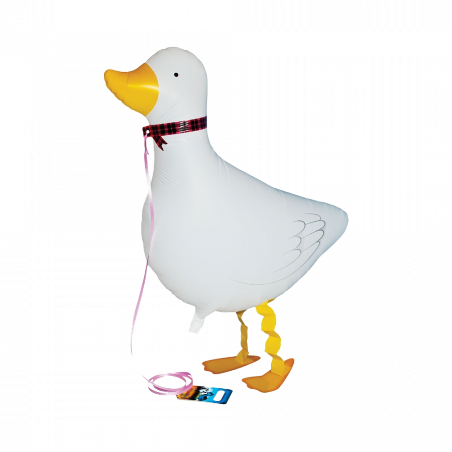 Ankka kävelevä foliopallo