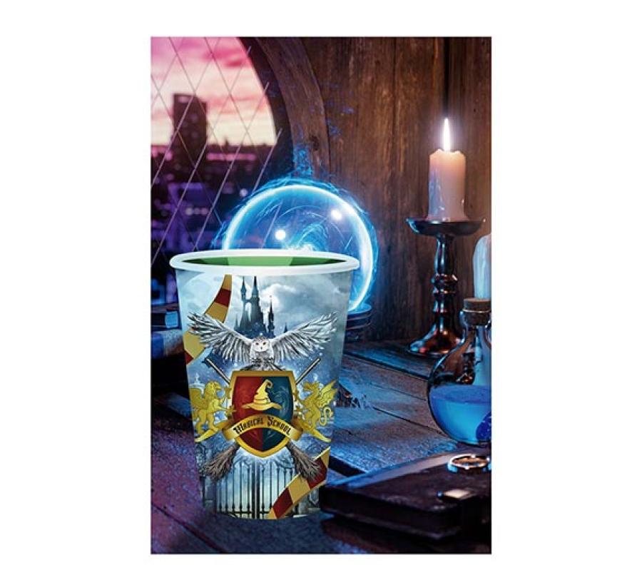 Harry Potter juomalasit 355 ml, 6 kpl