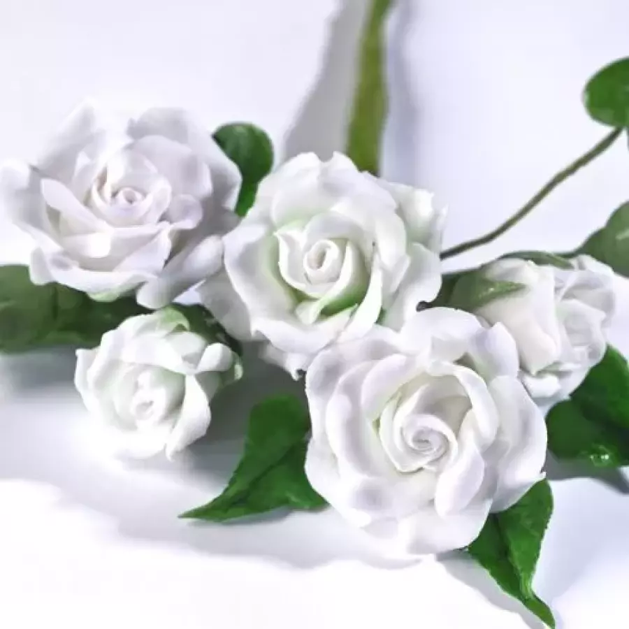 Kukka- ja muotoilumassa, valkoinen, 250 g - Renshaw