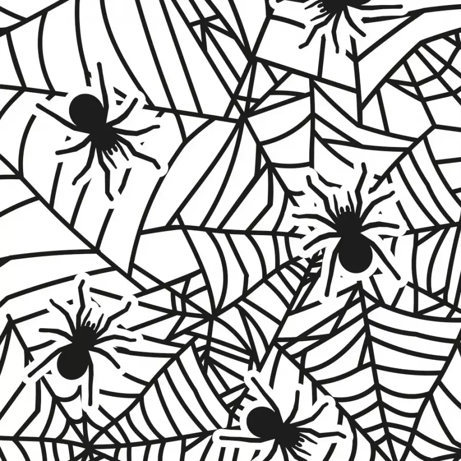 Lahjapussit hämähäkinseitti / Halloween aihe, 20 kpl