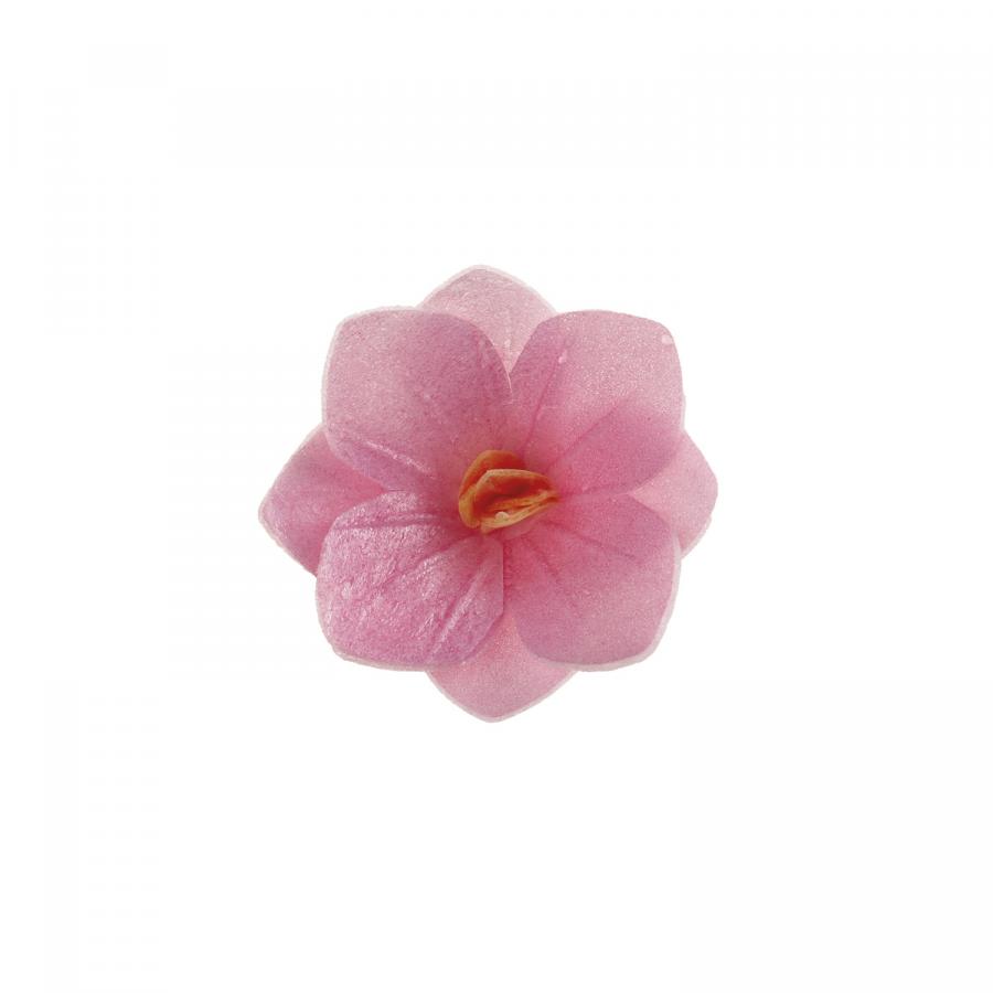 Syötävä vohvelikukka 4 cm - vaaleanpunainen, 18 kpl