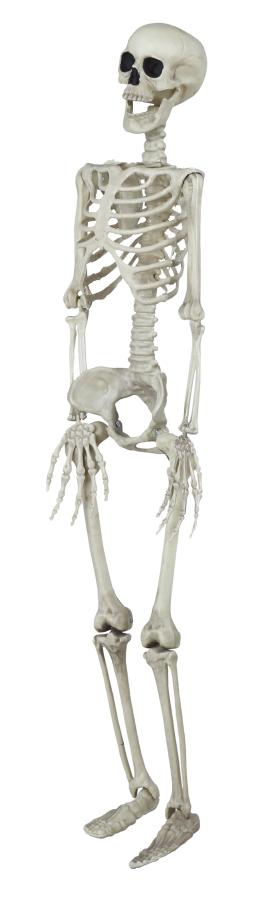 Muovinen luuranko 90 cm