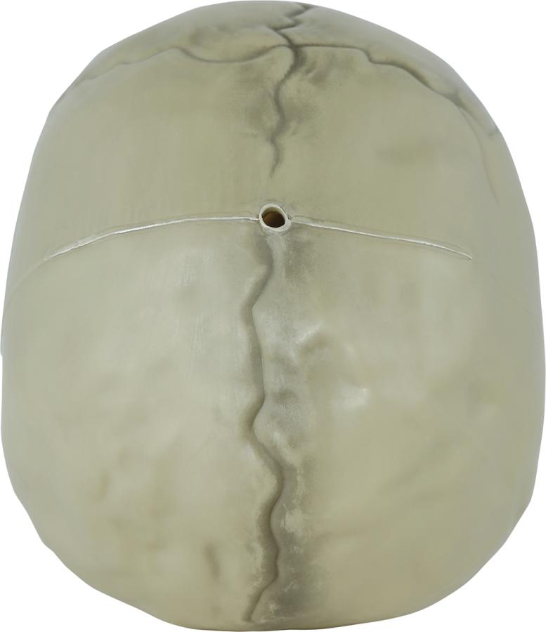 Muovinen pääkallo liikkuvalla leualla, 13 cm