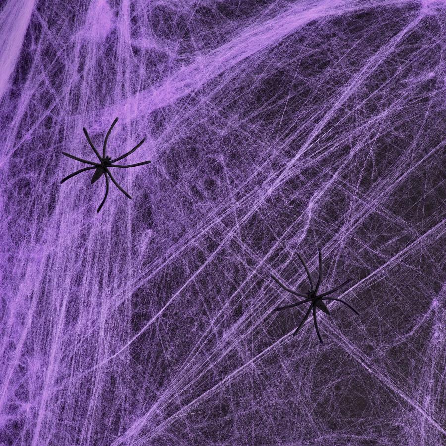 Hämähäkinseitti hämähäkeillä violetti, 20 g