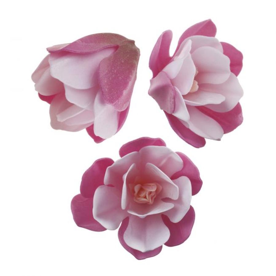 Syötävät isot vohvelikukat pinkki 6 kpl, Magnolia