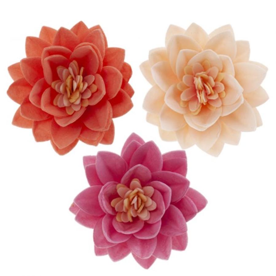 Syötävät vohvelikukat punaiset 15 kpl, lotus-kukat ~7cm